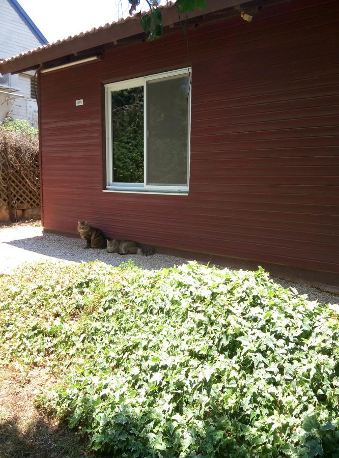 Hararit Cabin In The Viewヴィラ エクステリア 写真